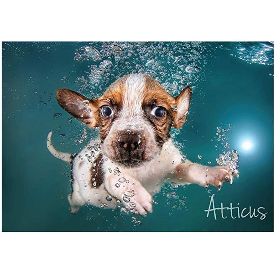 1000ピース ジグソーパズル 水中犬 4犬種 子犬 セス キャスティール 日本製