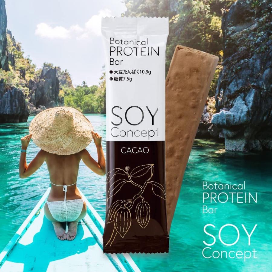 SOY Concept ボタニカルプロテインバー 植物性大豆プロテイン 砂糖,人口甘味料,香料,着色料,保存料不使用 小麦粉,マーガリン,ショートニン 鉄分