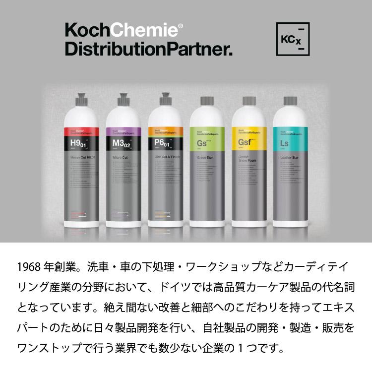 Wg コッホケミー Koch Chemie ウェットグロス Wet Gloss 艶 撥水 車