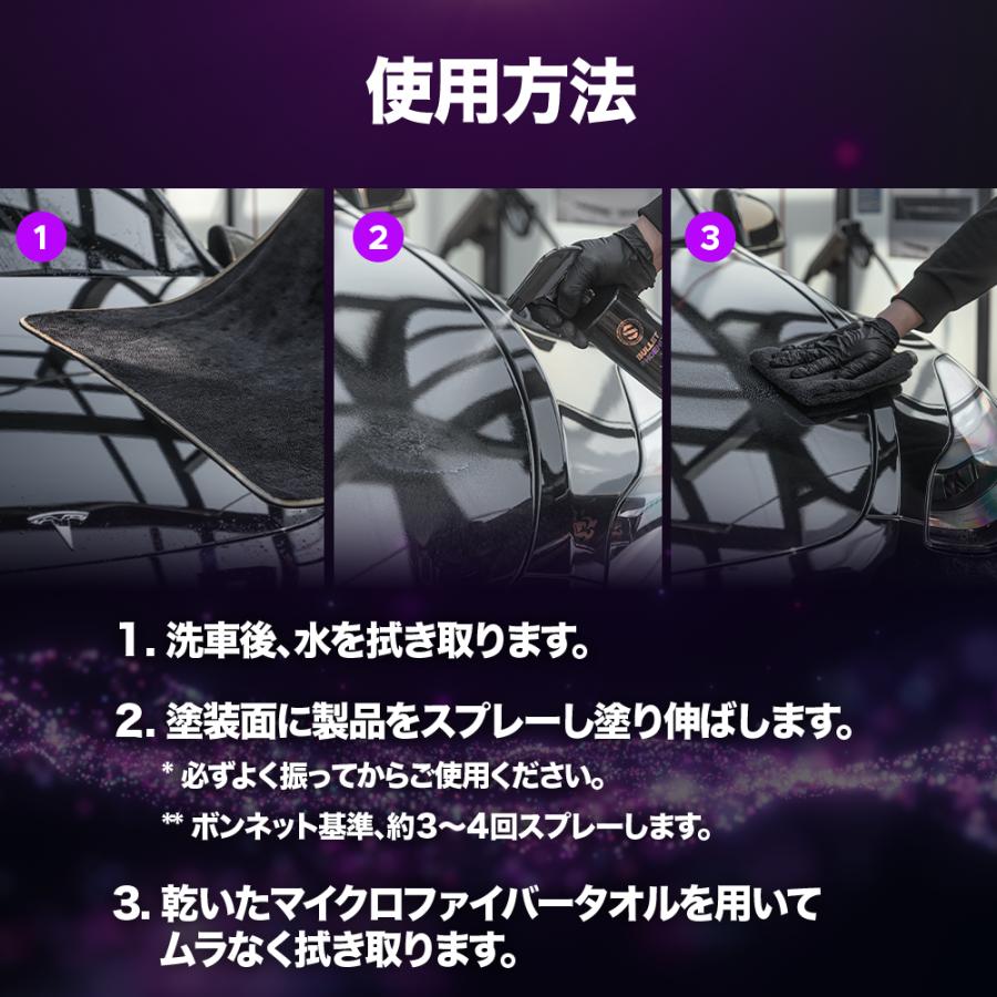 THE CLASS Bullet Phoenix ザクラス バレット フェニックス グラフェン