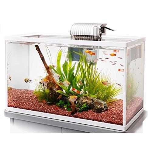 バーゲンで テトラ Tetra テトラ Tetra 水槽 ホワイトアクアリウム 600 水槽 熱帯魚 メダカ 金魚 熱帯魚 アクアリウム用品 Aliuminium Lt