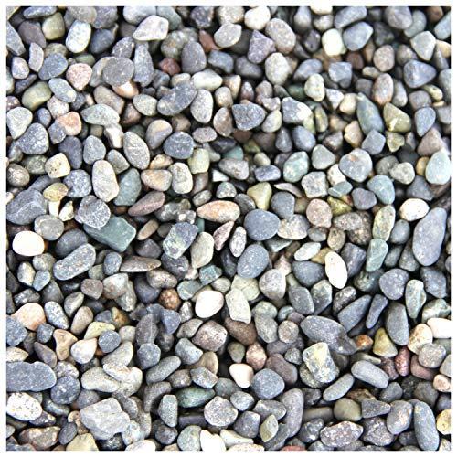 最先端 水槽用底砂 大磯砂利 2分 洗って入れるだけでぴったり 30cm水槽で3センチ 45cm水槽で2センチにぴったり敷け 即納 最大半額 Turningheadskennel Com