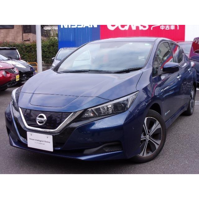 最高級のスーパー 日産 光チタン施工車 抗菌 抗ウィルス対策 X リーフ 中古車