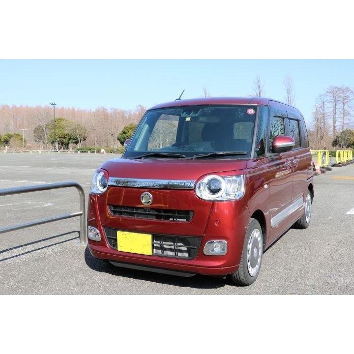 ムーヴキャンバス LA850系 アイライン LA850S LA860S ムーヴ キャンバス エアロパーツ カスタム アイライン