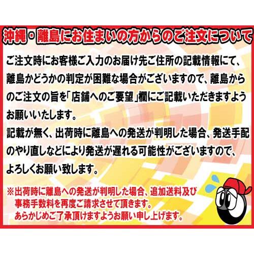 サマータイヤ 1本 ブリヂストン REGNO GR-Leggera レグノ レジェーラ 軽自動車 165/55R15インチ V 送｜cartel0602｜04