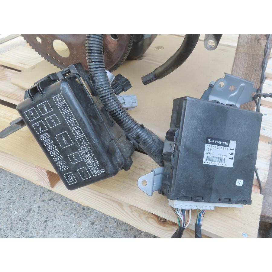 ネギ大事典 ネギ大事典: ネギ/ニラ/ワケギ/アサツキ/リーキ/やぐら性ネギ類