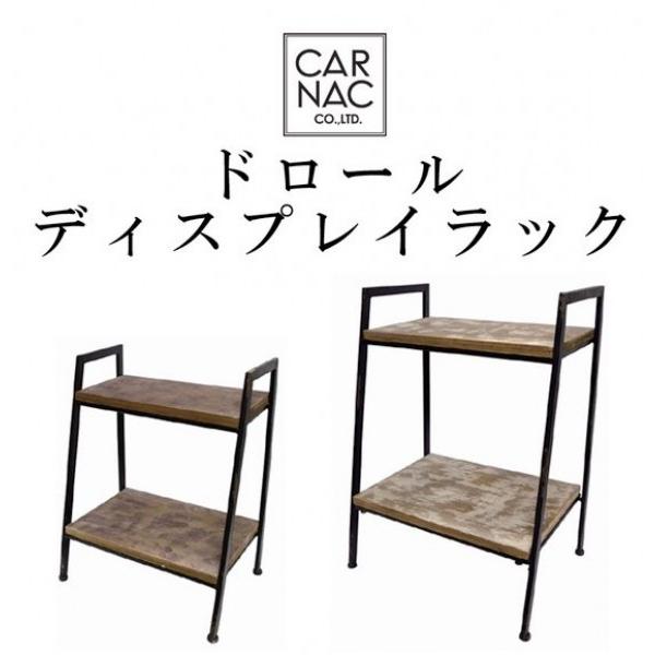 数量限定 Caudexや多肉植物をおしゃれに飾れる ドロールディスプレイラックb 最先端 Zoetalentsolutions Com