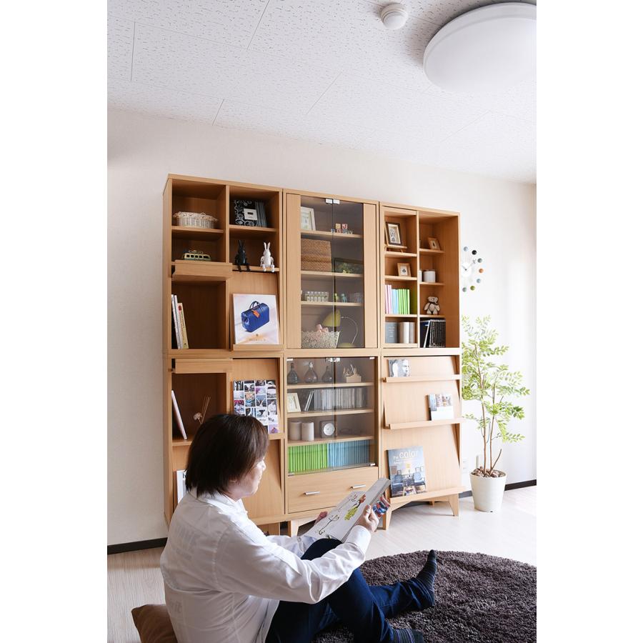 JK-PLAN（ジェイケイ・プラン） ディスプレイラック フラップ2枚 幅60