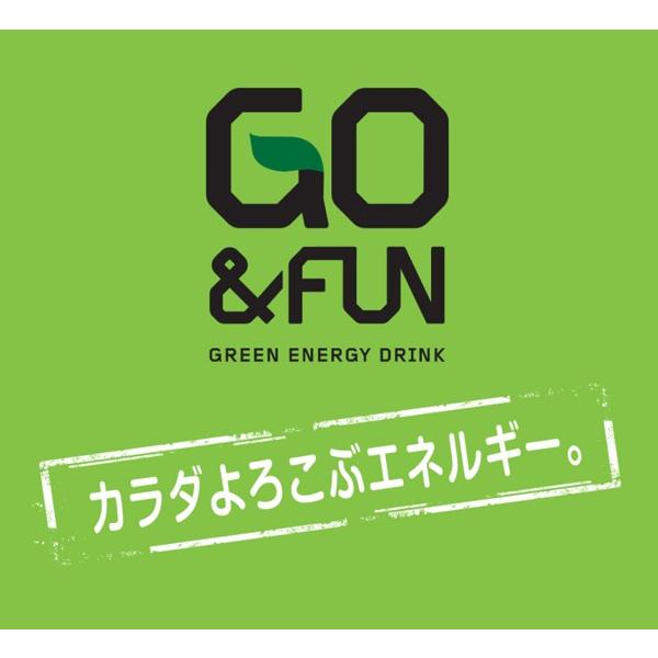 【イタリアのエナジードリンク】 GO&FUN 30本入り×2ケース GO＆FUNグリーンエナジードリンク 250ml缶 30本×2ケース – Sleep 360