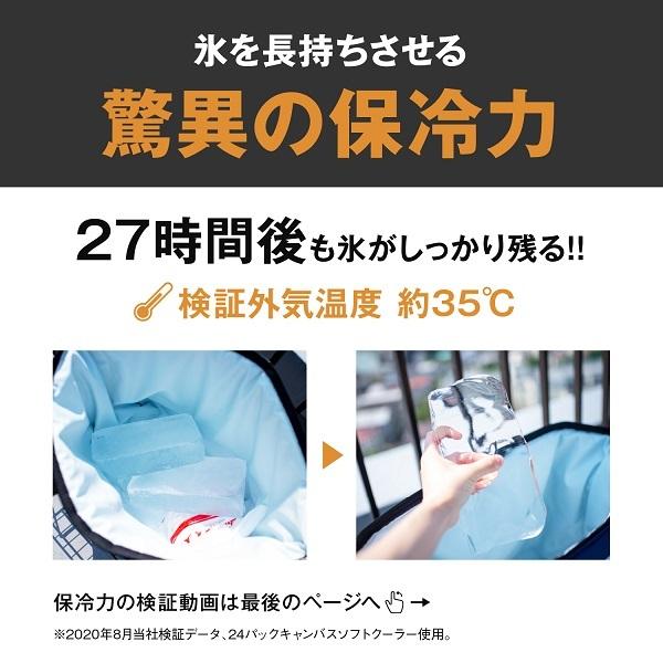 AO クーラーズ36パック キャンバス ソフトクーラー ブレイクアップ 0896290001960 | AO Coolers | 01