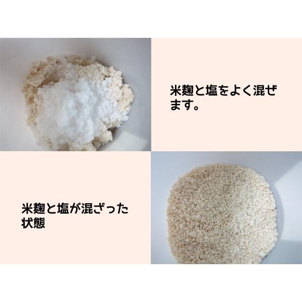 いきいきペール5型（4.3L）2個セット【抗酸化溶液活用製品】【発酵促進