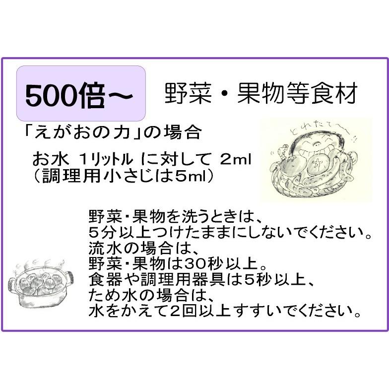 「えがおの力（旧松の力）」4L 植物油由来成分からできた濃縮自然派洗剤 液体洗剤