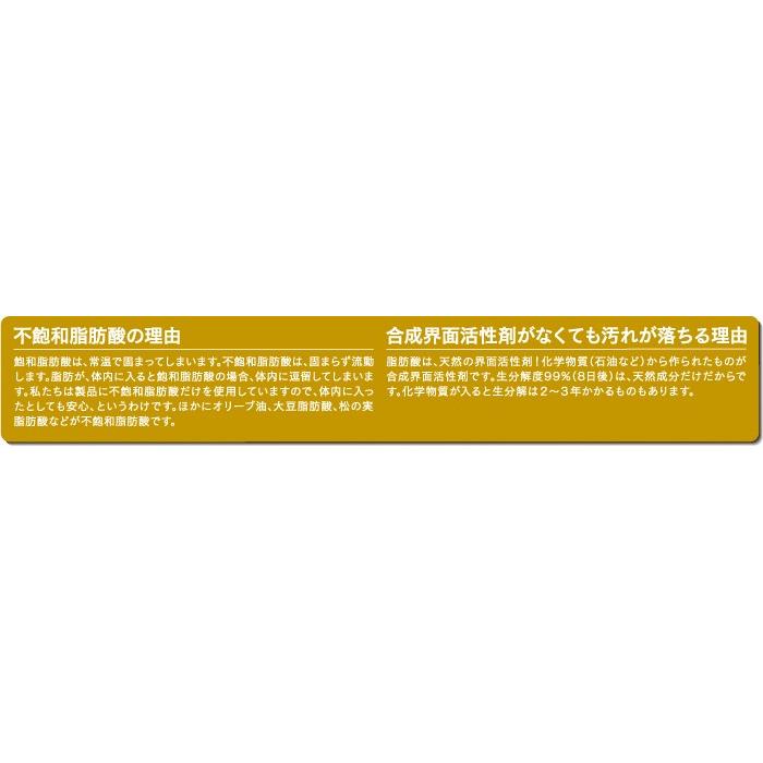 大豆でできた除菌 消臭 洗浄剤《ナノソイ・コロイド Home 4L》【発泡剤