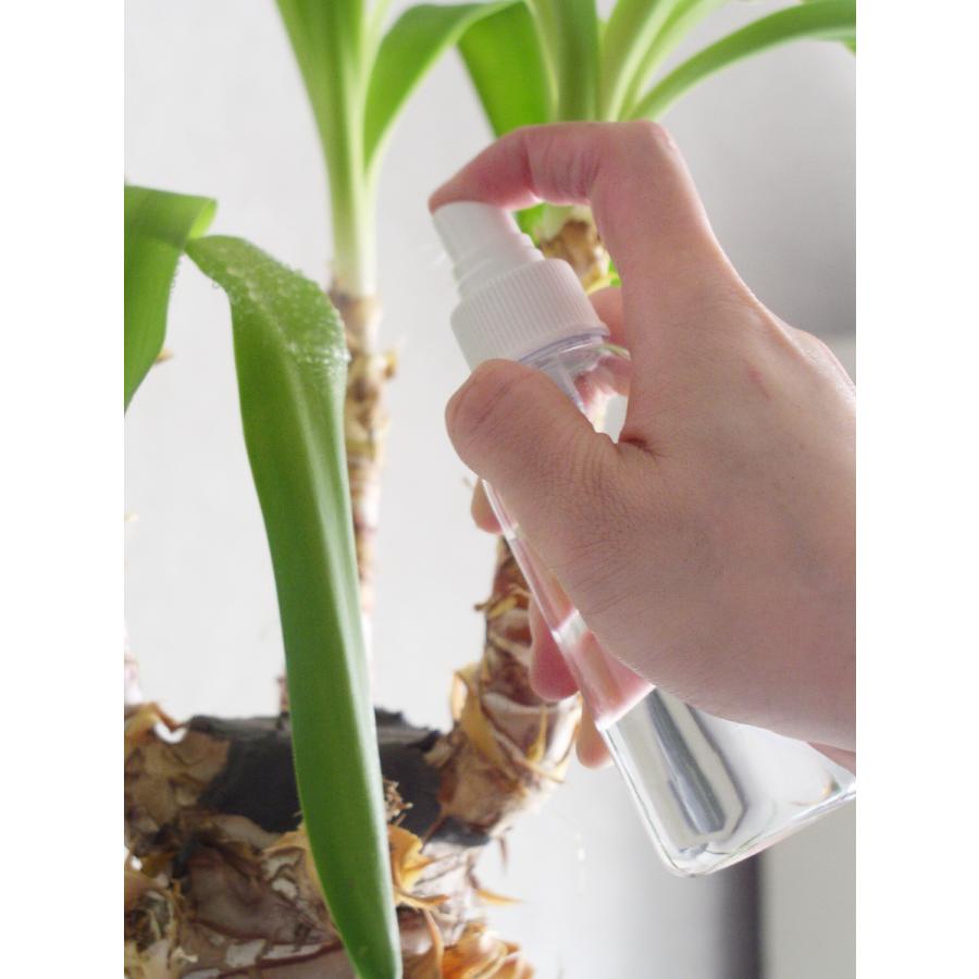 EMBALANCE SPRAY BOTTLE スプレーボトル 100ml エンバランス ウィル