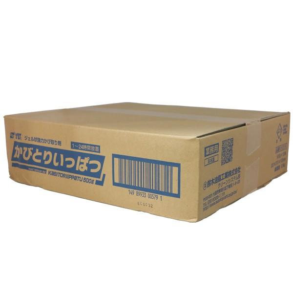 かびとりいっぱつ（旧品名:カビとり一発）500g 10本セット【業務用 かび取り】