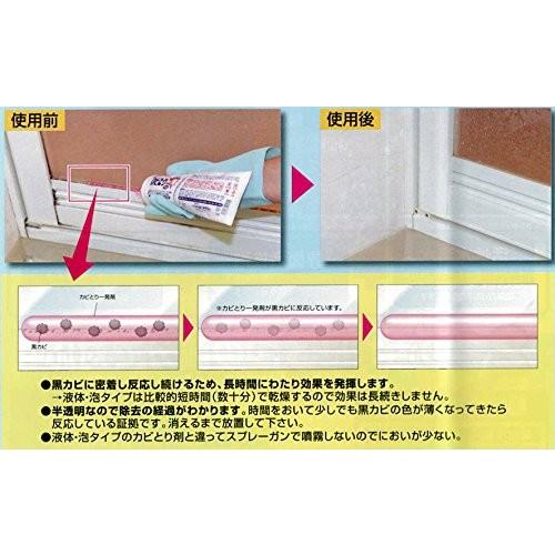 かびとりいっぱつ(旧品名:カビとり一発)500g 2本セット【業務用 かび取り】|cascata|05