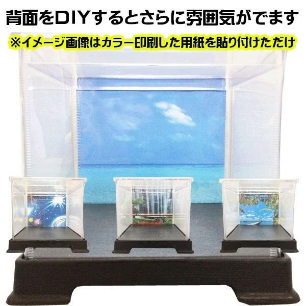 コレクションケース ミニカーケース 帆船模型ケース 特注手作り品 幅50cm 奥行32cm 高50cm Kaku ケースのお店 通販 Yahoo ショッピング