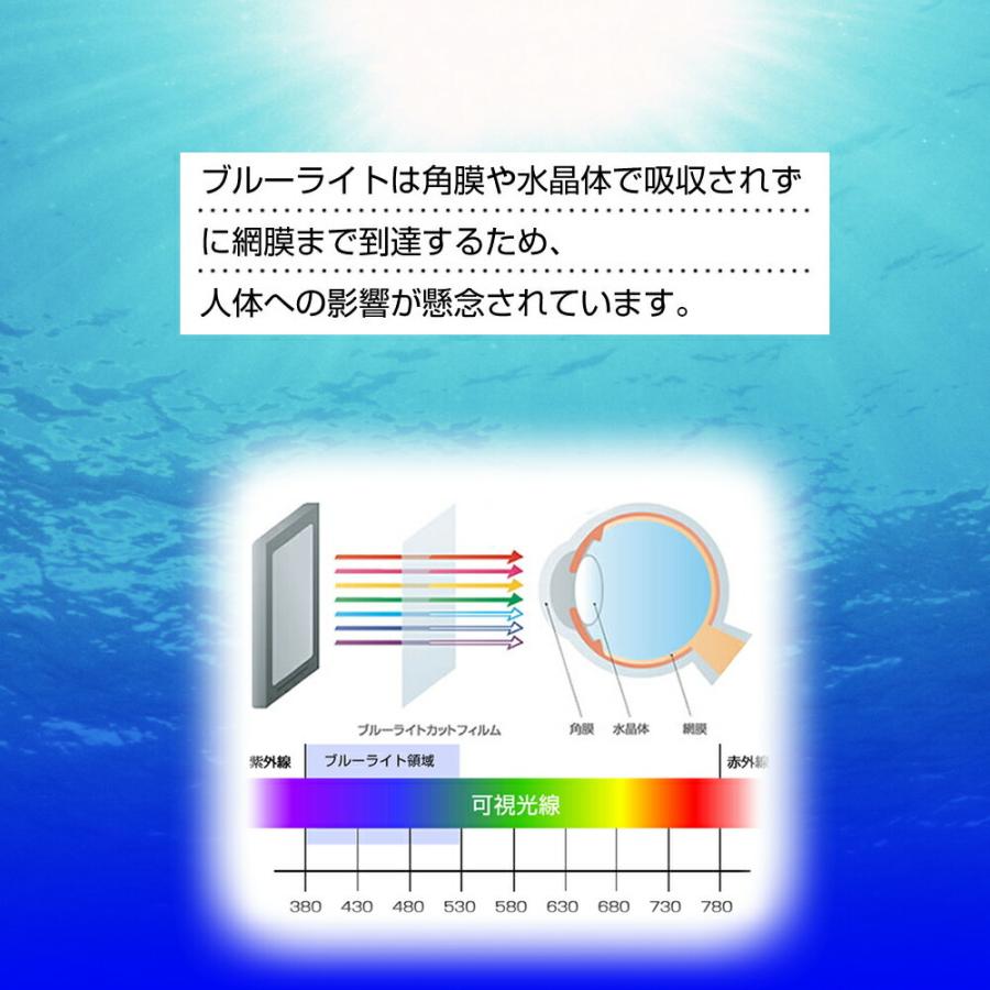 Surface Pro 8 / X 液晶画面用 専用 強化 ガラスフィルム と 同等の 高硬度9H ブルーライトカット 光沢タイプ 改訂版 液晶 保護 フィルム｜casemania55｜05