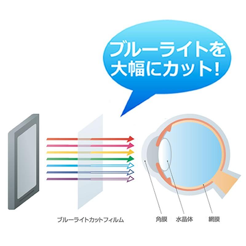 SONY VAIO Pシリーズ VPCP11AKJ 強化 ガラスフィルム と 同等の 高硬度9H ブルーライトカット 光沢タイプ 改訂版 液晶 保護 フィルム｜casemania55｜06