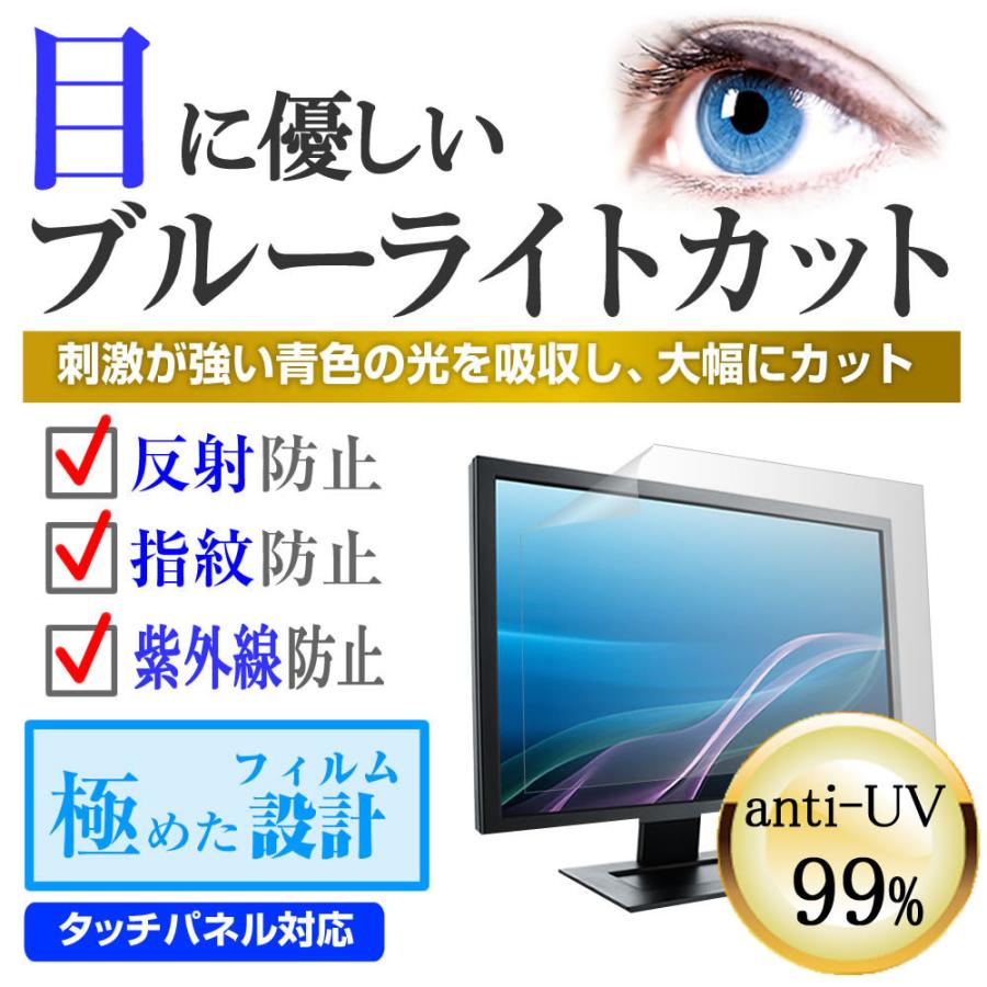 アイリスオーヤマ LUCA 49UB20K 機種で使える ブルーライトカット 反射防止 指紋防止 液晶 保護 フィルム｜casemania55｜02