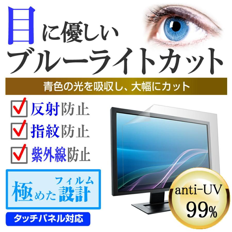 Acer NITRO VG0 VG240YEbmiix (23.8インチ) 保護 フィルム カバー シート ブルーライトカット 反射防止 指紋防止 液晶保護フィルム｜casemania55｜02