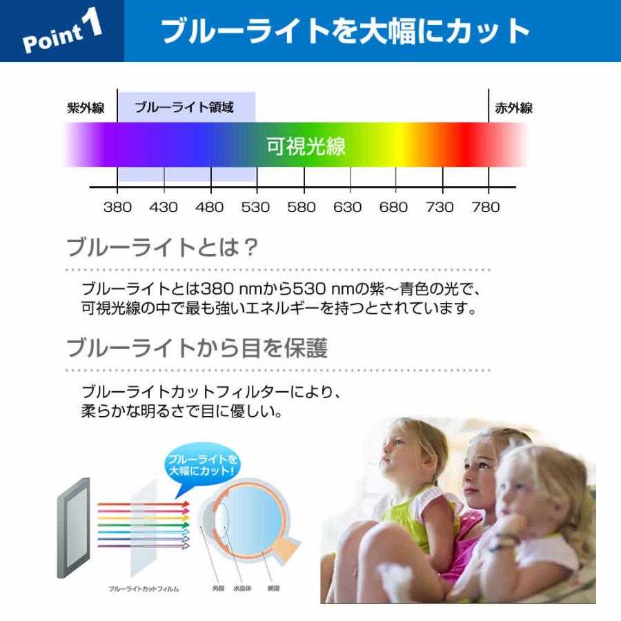 メディアフューチャー 東芝 REGZA 55M540X 液晶テレビ保護パネル 55型 