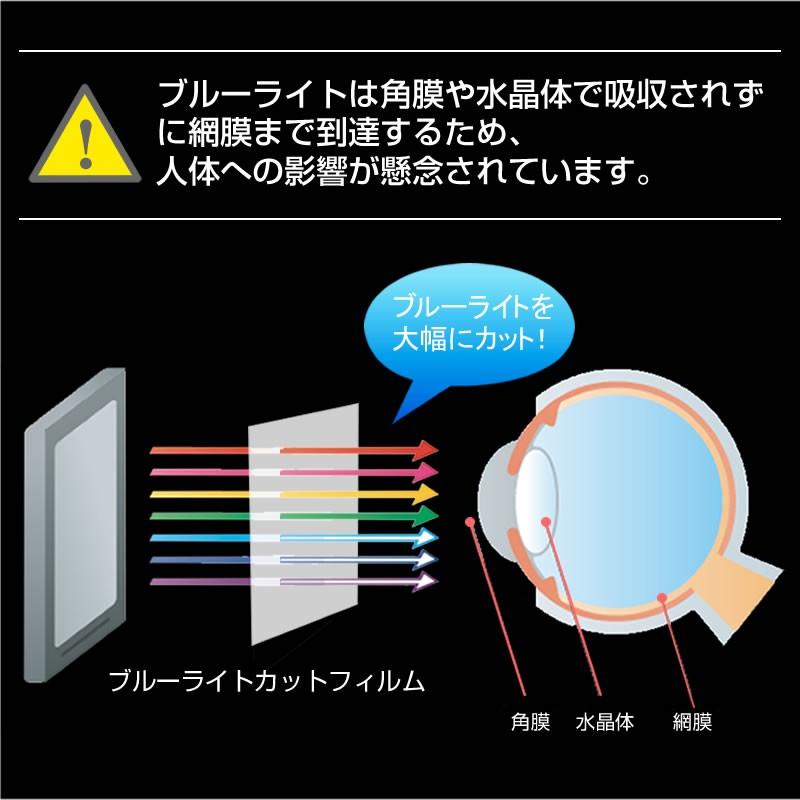 デジタルビデオカメラ 3.2W型 72mm×41mm ブルーライトカット 反射防止 指紋防止 気泡レス 抗菌 液晶 保護 フィルム｜casemania55｜07