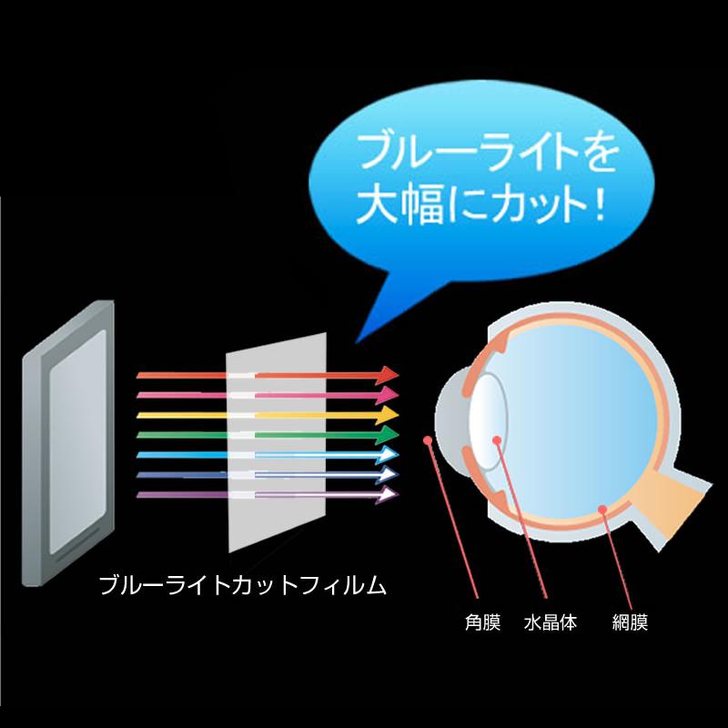 東芝 Dynabook X4 P1X4JPEG 15.6インチ 機種で使える ブルーライトカット 指紋防止 液晶 保護 フィルム と キーボードカバー セット｜casemania55｜05