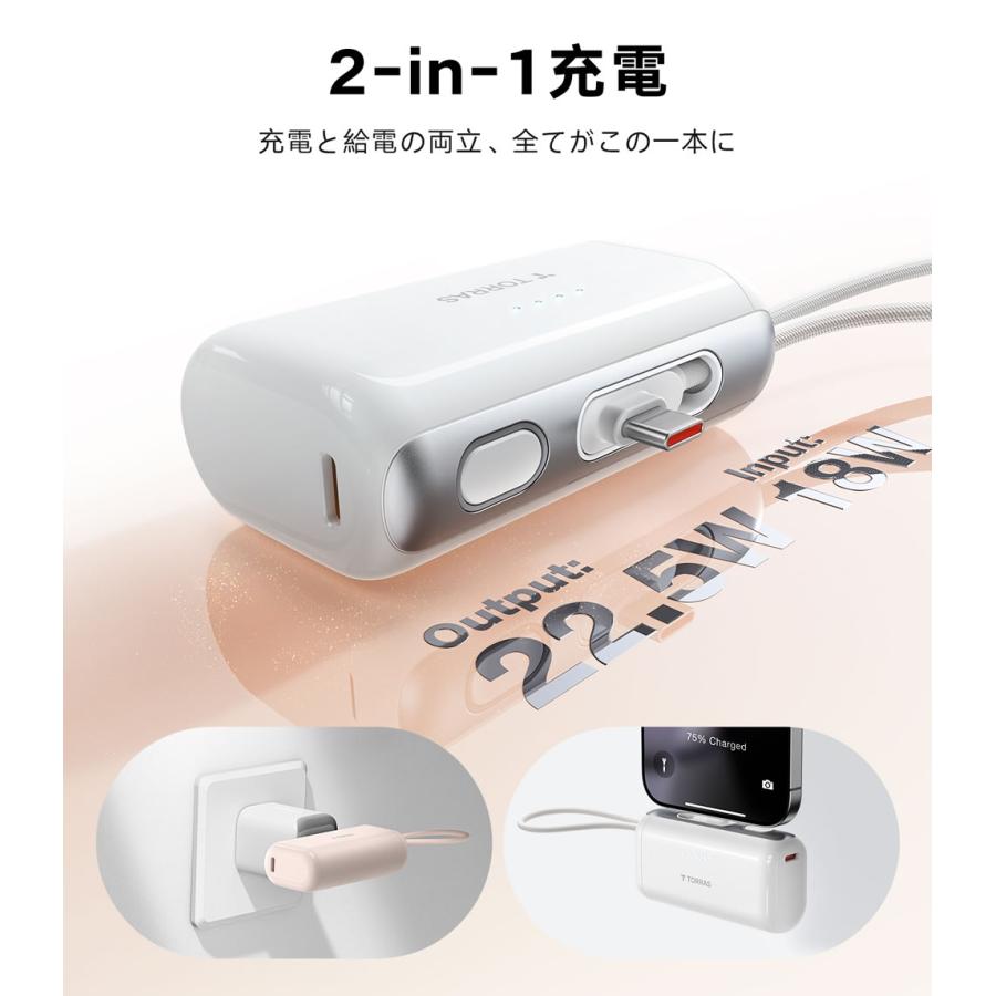 TORRAS Torras - PocketVolt 5000mAh Powerbank モバイル バッテリー