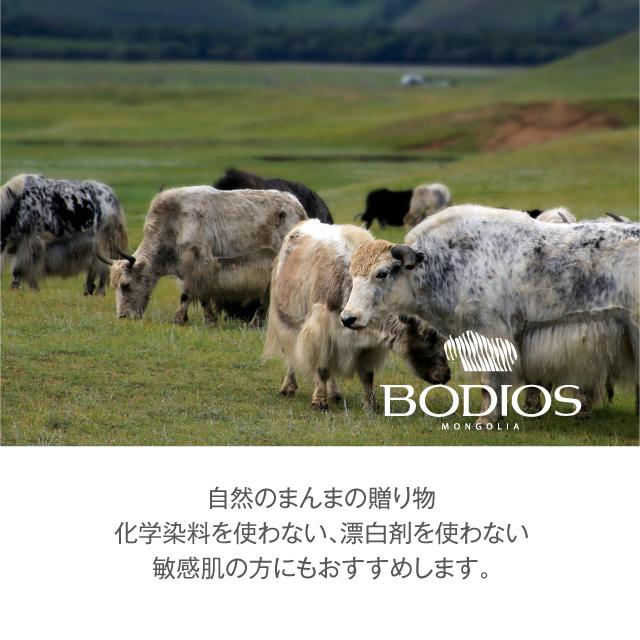BODIOS ヤクソックス ウール モンゴル靴下 レディース メンズ ルーム