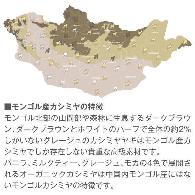 GOBI カシミヤ マフラー 無染色 無漂白 オーガニック カシミヤ100