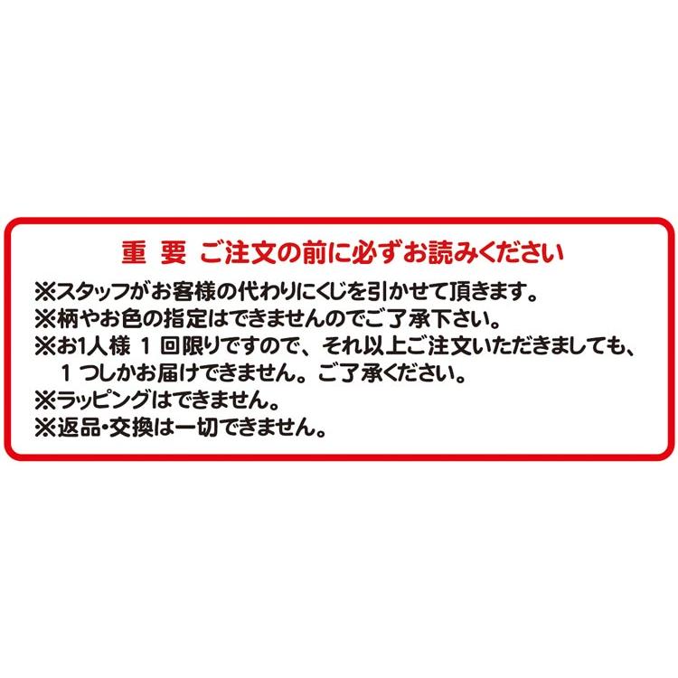 ラフくじ ★2024年GW★ 1119  【お1人様1セット限り】【ラッピング不可 】｜cast-shop｜03