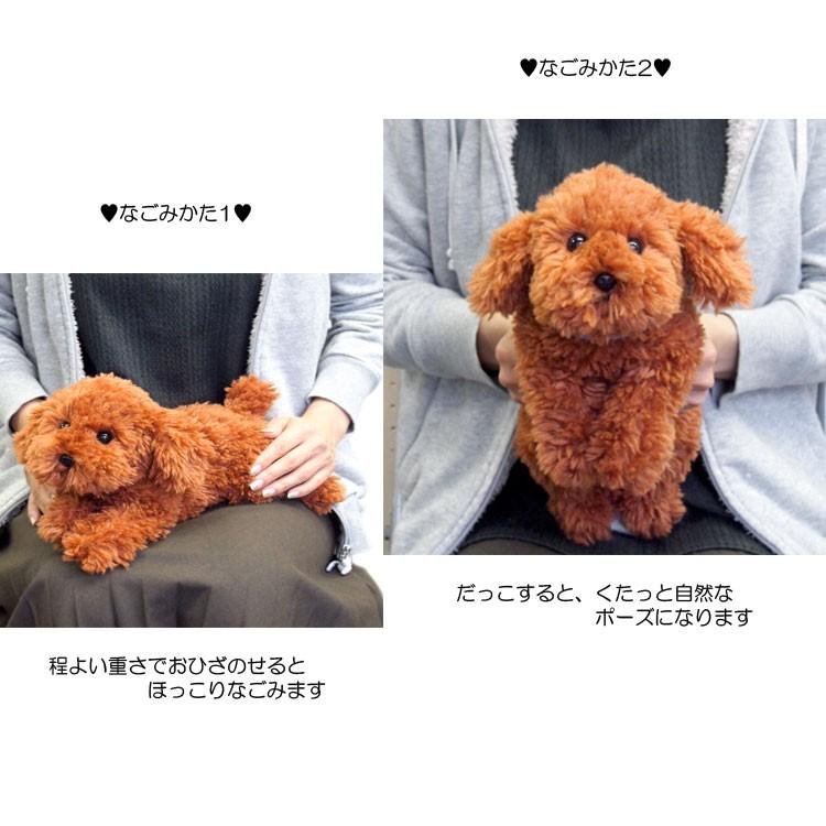 ひざわんこ トイプードル BR [043033] : キャラクター雑貨 ラフラフ