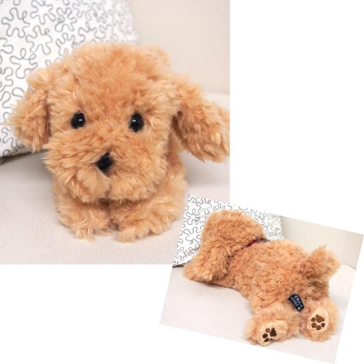 ひざわんこ トイプードル BE [043040] : キャラクター雑貨 ラフラフ