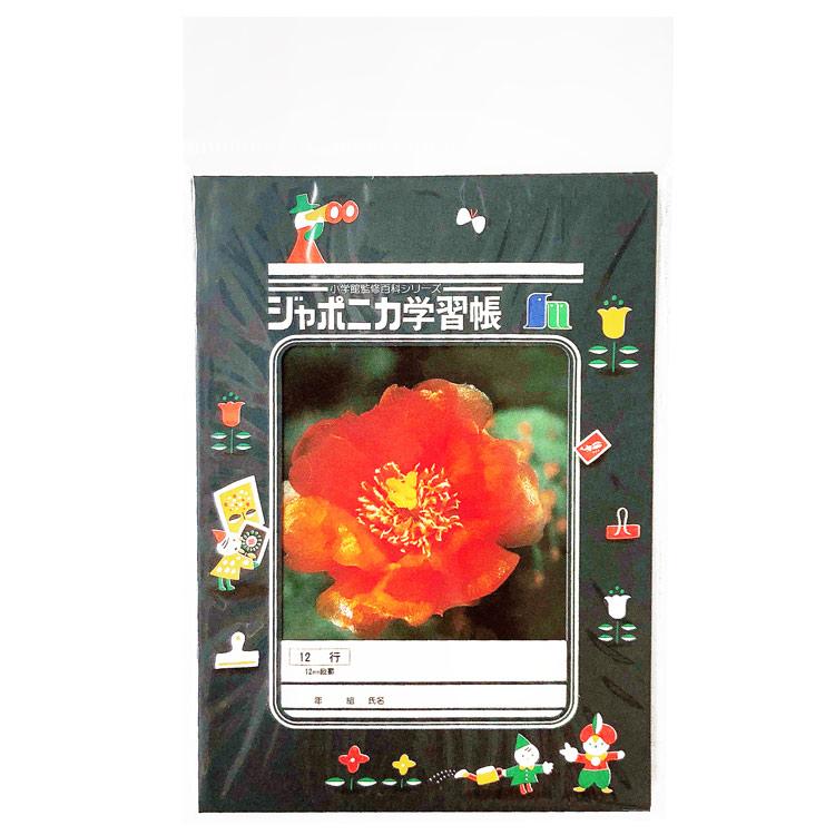 ジャポニカ学習帳 ジャポニカ封筒 A 文具2 キャラクター雑貨 ラフラフ 通販 Paypayモール