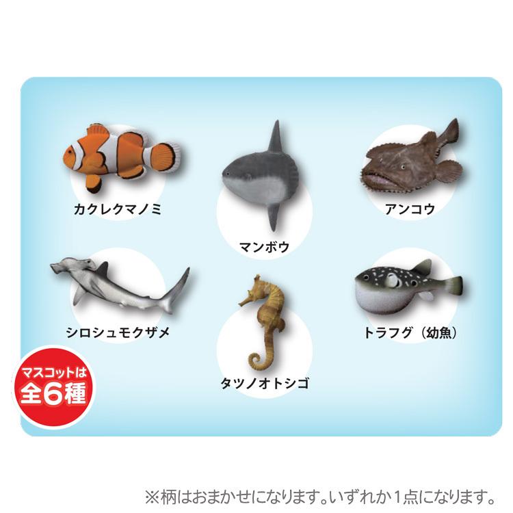 柄はおまかせ 学研の図鑑ライブ Gkn 7 01 魚バスボール 美しい海の香り キャラクター雑貨 ラフラフ 通販 Paypayモール