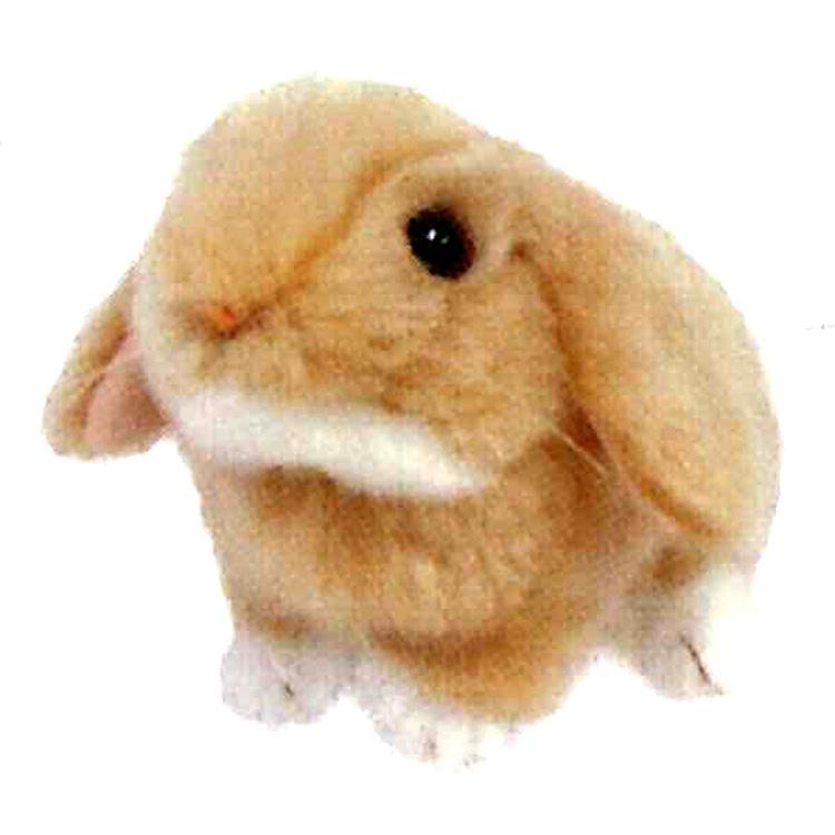 ロップイヤーうさぎ ぬいぐるみ オレンジ 816772 りくのなかまたち
