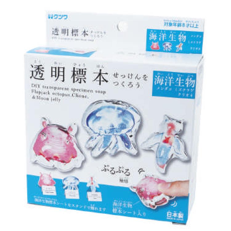 透明標本作製キット】(上級) 20点 自由研究 学習教材 改良版 透明標本