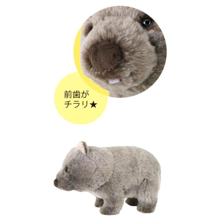 フラッフィーズ ぬいぐるみM ウォンバット 051090 動物 アニマル