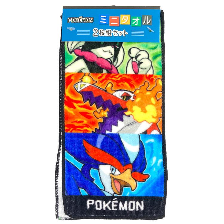 ポケモン ミニタオル 2枚組✖️3 3枚組セット 計9枚 ポケモン ミニ