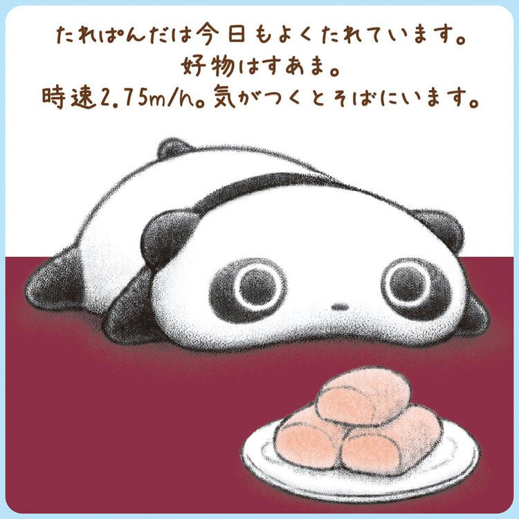 たれぱんだ ミラクルステッカー サンエックスキャラクターズ 絵が