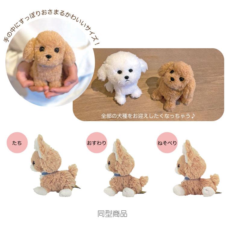 パプス! ぬいぐるみS ミニチュアダックス BR 045945 PUPS! サンレモン