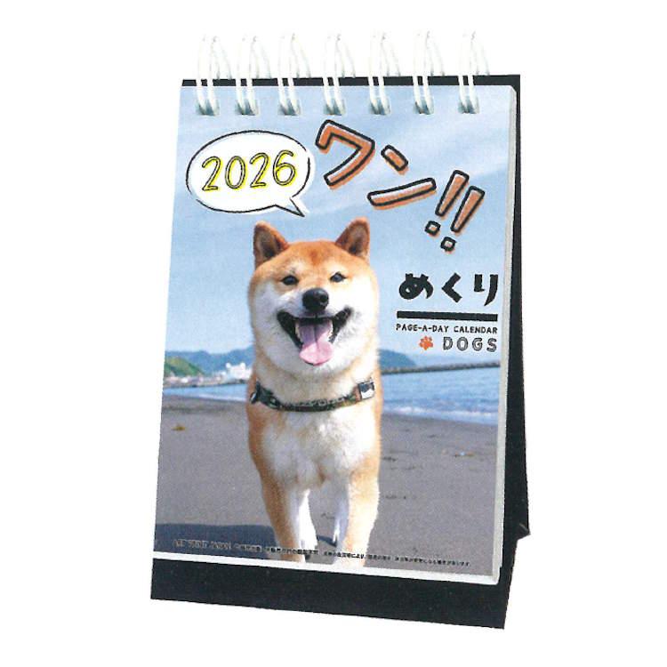 日めくり2026 ワン!!めくり 2026年カレンダー 1000136881 卓上 日めくり リング