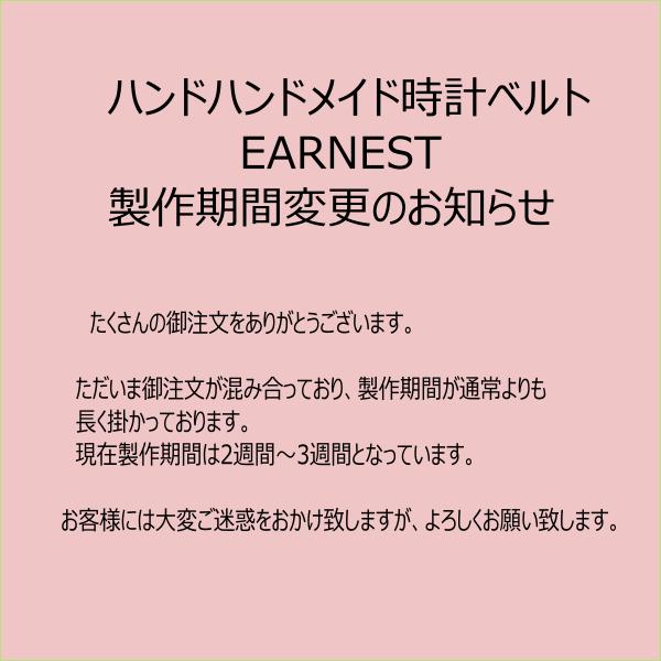 EARNEST /パネライ用、既成Dバックル付き/エレファント、選べる8色　22mm/24mmの画像