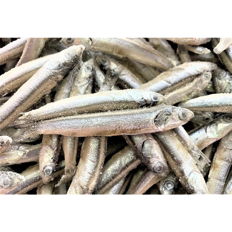 冷凍品 カタクチイワシ バラ凍結6kg箱 釣り 餌 釣りえさ イワシ板 撒き餌 一回購入2個まで 釣具のキャスティング2号店 通販 Yahoo ショッピング
