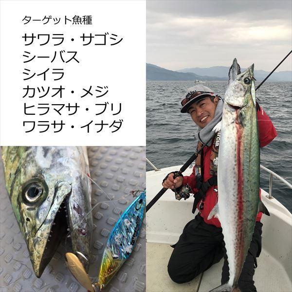 フィッシング アブガルシア オーシャンフィールド サワラ