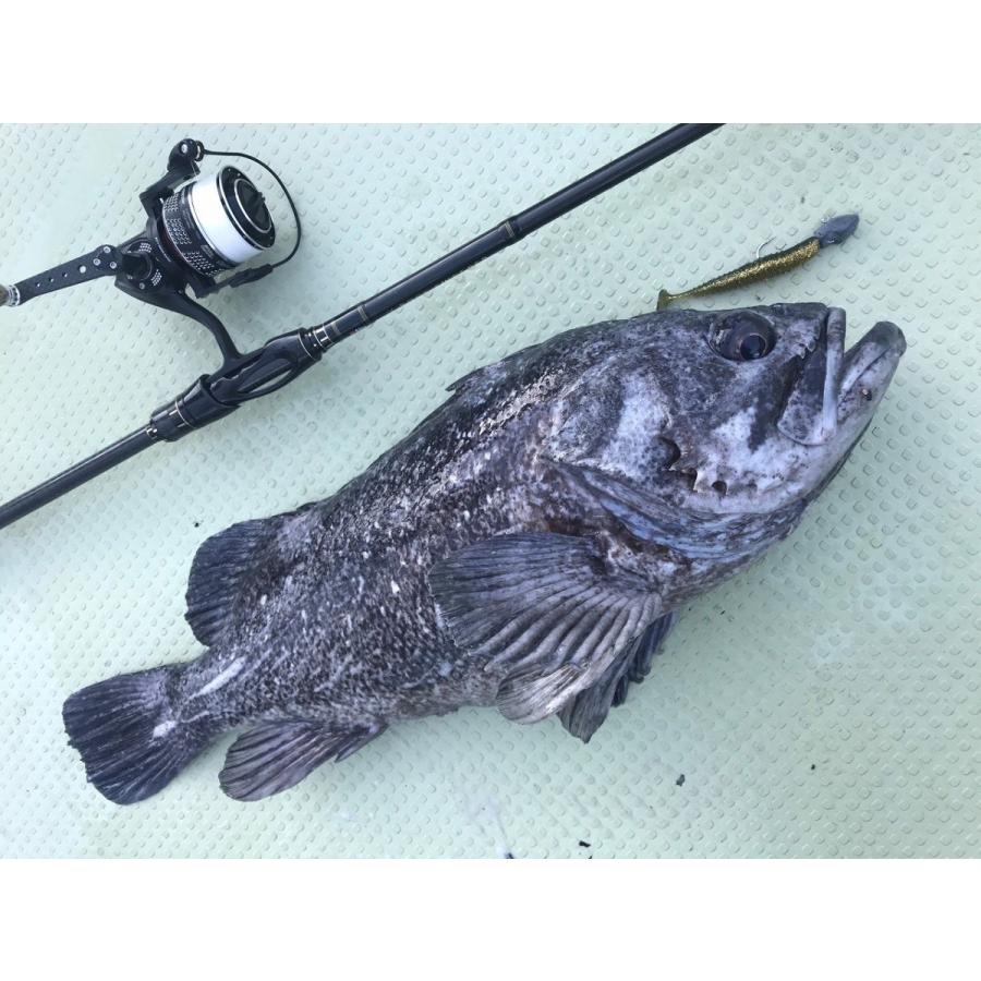 Abu Garcia アブガルシア エラディケーター ロックスイーパー