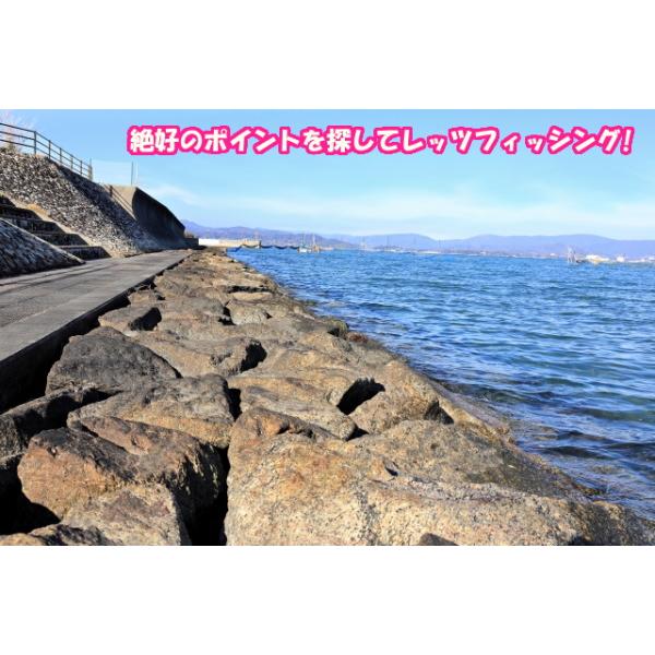 マイクロス テトラ釣リ入門セット 釣具のキャスティング Paypay店 通販 Paypayモール のんびり堤防 エサだけ買えばokなロッド リールセット 初心者用 磯釣り セット ドラグ