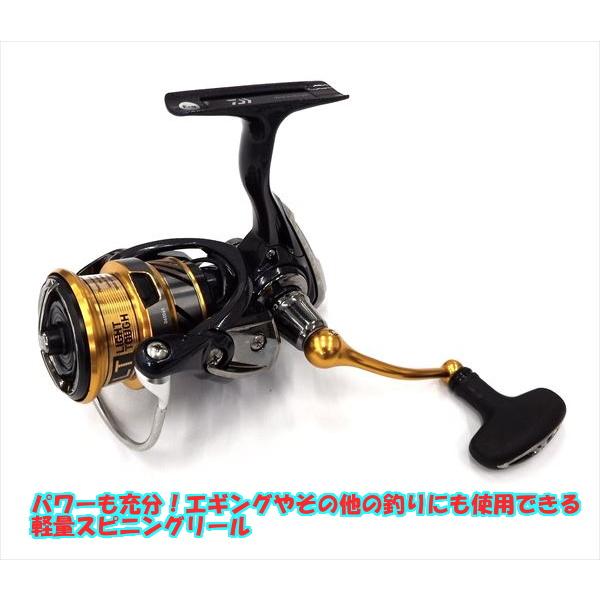 エギングセット 中級者向 すぐに使える イカ釣り 竿 リール 堤防