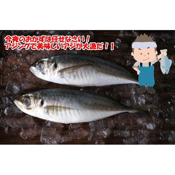 アジングセット 入門 初心者 ステップアップセット 堤防釣リ アジ メバル ジギング 釣具のキャスティング Paypay店 通販 Paypayモール